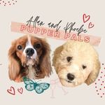 Allan & Phoebe - @allanphoebepaw - Instagram
