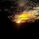 phoebe barnett - @phoebe_photography2004 - Instagram