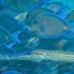 Karen Green - @phoebebrewer23389963 - Instagram