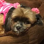 Phoebe Penelope Brewer - @phoebe.penelope.brewer - Instagram