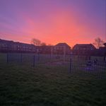 phoebe - @phoebe.brewerton - Instagram