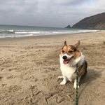 Phoebe Browne - @phee_bee_lee - Instagram