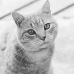 Phoebe Burgess - @_phoe_b - Instagram