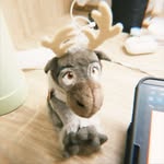 Wu - @_phoebecarr_ - Instagram
