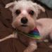 Phoebe Caudill - Facebook