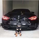 @phoebe_christopher - Instagram