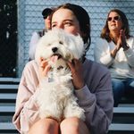 PMD - @phoebedeangelo - Instagram