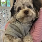 Phoebe Duong - Facebook