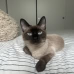 Phoebe Duong - Facebook