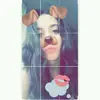 Phoebe Edwards - @_fe.ffs - TikTok