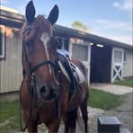 Phoebe Eldridge - Facebook