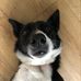 Phoebe Evans - Facebook