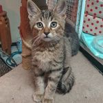 phoebe - @phoebe.moonfield - Instagram