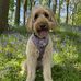 Phoebe Flint - Facebook