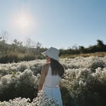P h o e b e • H e n g - @phoebeheng - Instagram
