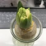phiphi - @phoebe.he - Instagram