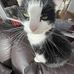 Phoebe Holt - Facebook