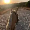 Phoebe James - @phoebe.james75 - TikTok