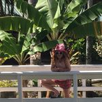Phoebe Ellen Jensen - @phoebej789 - Instagram