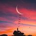 Phoebe Kohler - Facebook