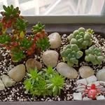 Phoebe Kwan - @phoebe_ymk - Instagram