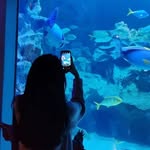 Phoebe Lau - @phoebelau304_ - Instagram