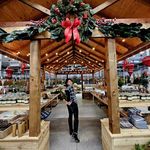 PhoeBe Lau - @phoebe_lau_epic - Instagram