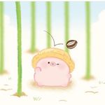 Phoebe Light - @piggybiibii - Instagram
