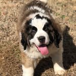Phoebe Monroe 💋 - @phoebe_the_saint - Instagram
