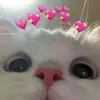 phoebemonroe0 - @phoebemonroe0 - TikTok