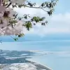Phoebey Owensy - @phoebey.owensy - TikTok