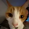 phoebe.pinderr - @phoebe.pinderr - TikTok