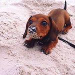 Phoebe & Tilli & Riley - @ptr_selling - Instagram