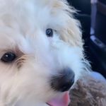 Phoebe Riley-eade - @x.official._.phoebe.x - Instagram