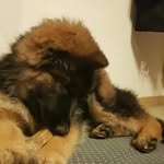 Phoebe Rocher - @rocherphoebe - Instagram