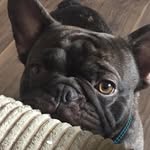 phoebe.m.w.r - @phoebe_may_walsh_roche - Instagram