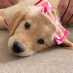 Phoebe Garcia (de) Santos - @odiariodephoebe - Instagram