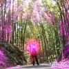 Phoebe Santos - @2164241599 - TikTok