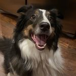 Phoebe Louise Schultz - @hi_itsphoebs - Instagram