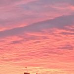 Phoebe Shaw - @phoebeshaw63 - Instagram