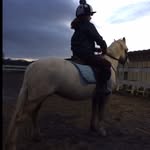 Phoebe Sinclair - @horse_lover_706 - Instagram