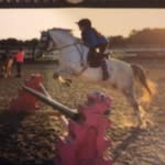Phoebe Sinclair - @phoebehorse123 - Instagram