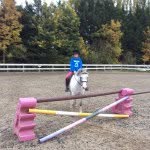 Phoebe Sinclair - @phoebehorse10 - Instagram