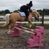Phoebe Sinclair  - @horses_for_life_201 - TikTok