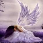 Phoebe Singleton - Facebook