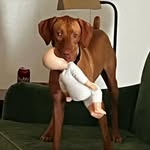 Phoebe Louise Vasquez - @phoebe_louise_of_the_world - Instagram