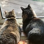 Phoebe and Vincent - @pheebsandvince - Instagram