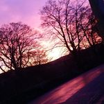 phoebe Watts - @phoebewatsits011 - Instagram