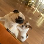 Phoebe webber - @phoebe80688 - Instagram