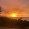 Phoebe - @phoebe.wells12 - TikTok